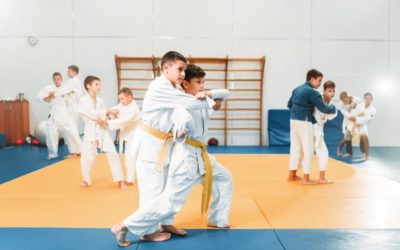 IV Wielki Trening Rodzinny Judo