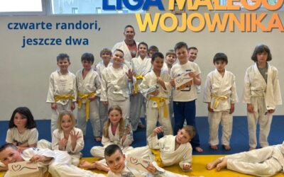 Liga Małego Wojownika